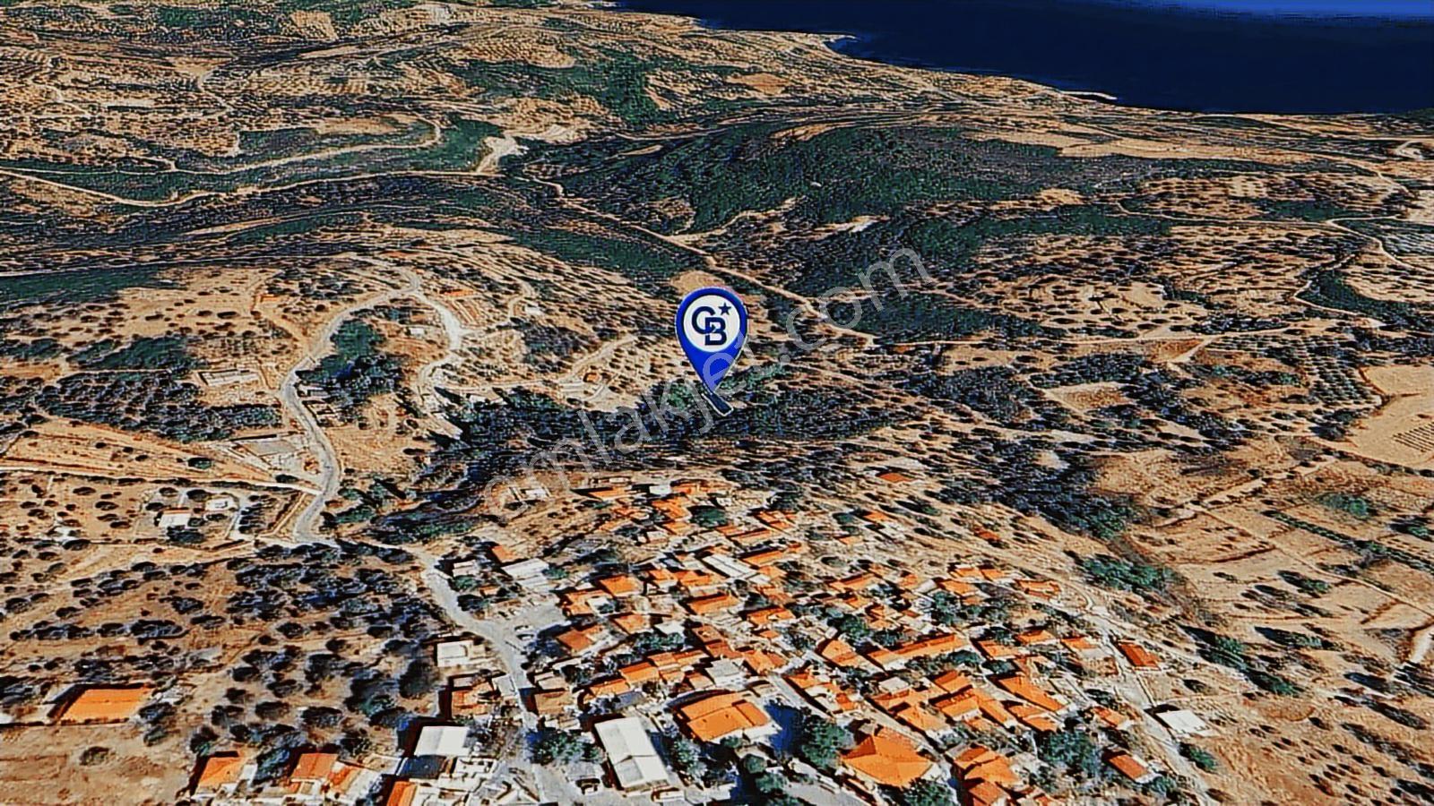 Karaburun Kösedere'de Müstakil Tapulu Bahçe