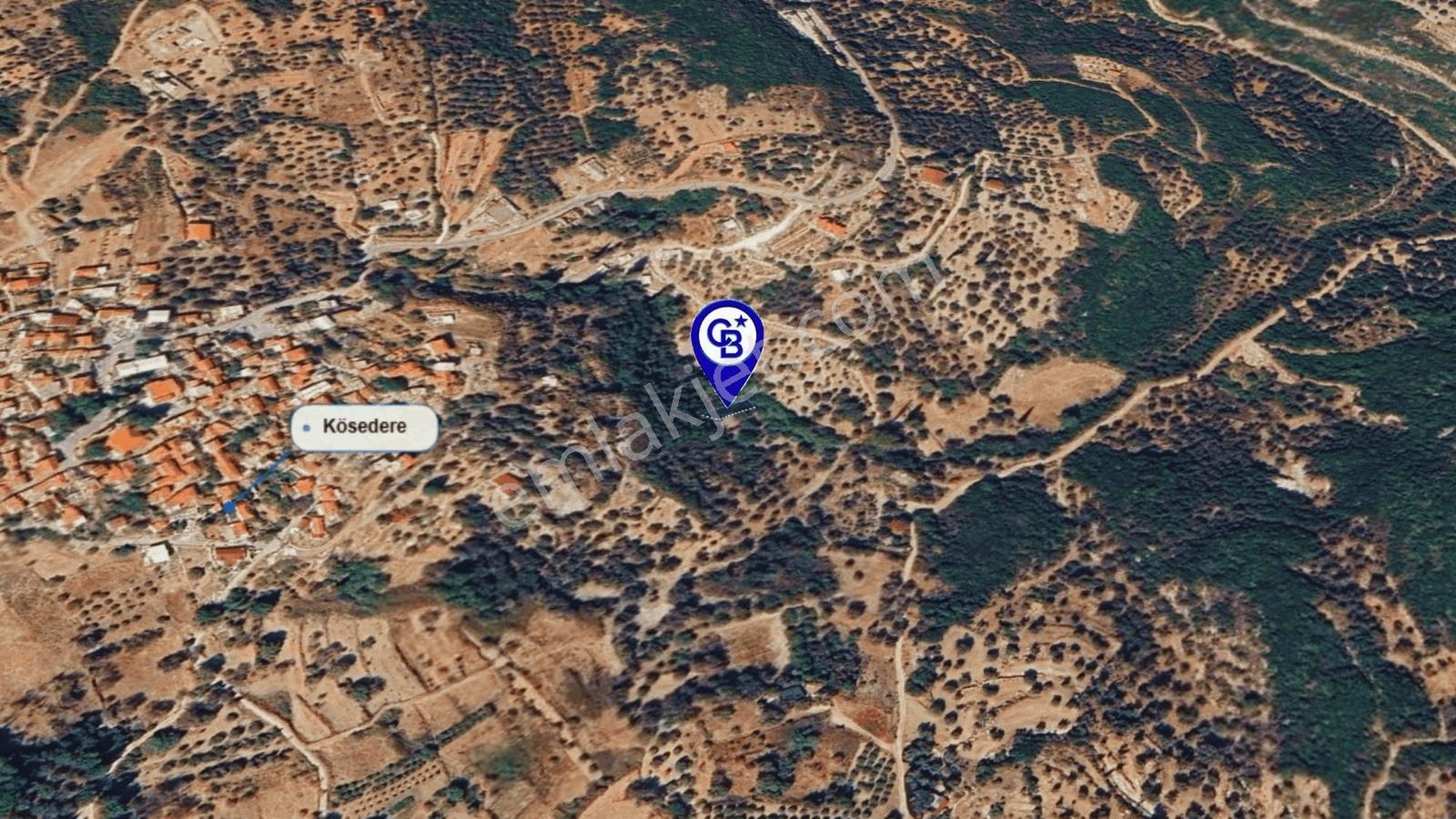 Karaburun Kösedere'de Müstakil Tapulu Bahçe - Görsel 19