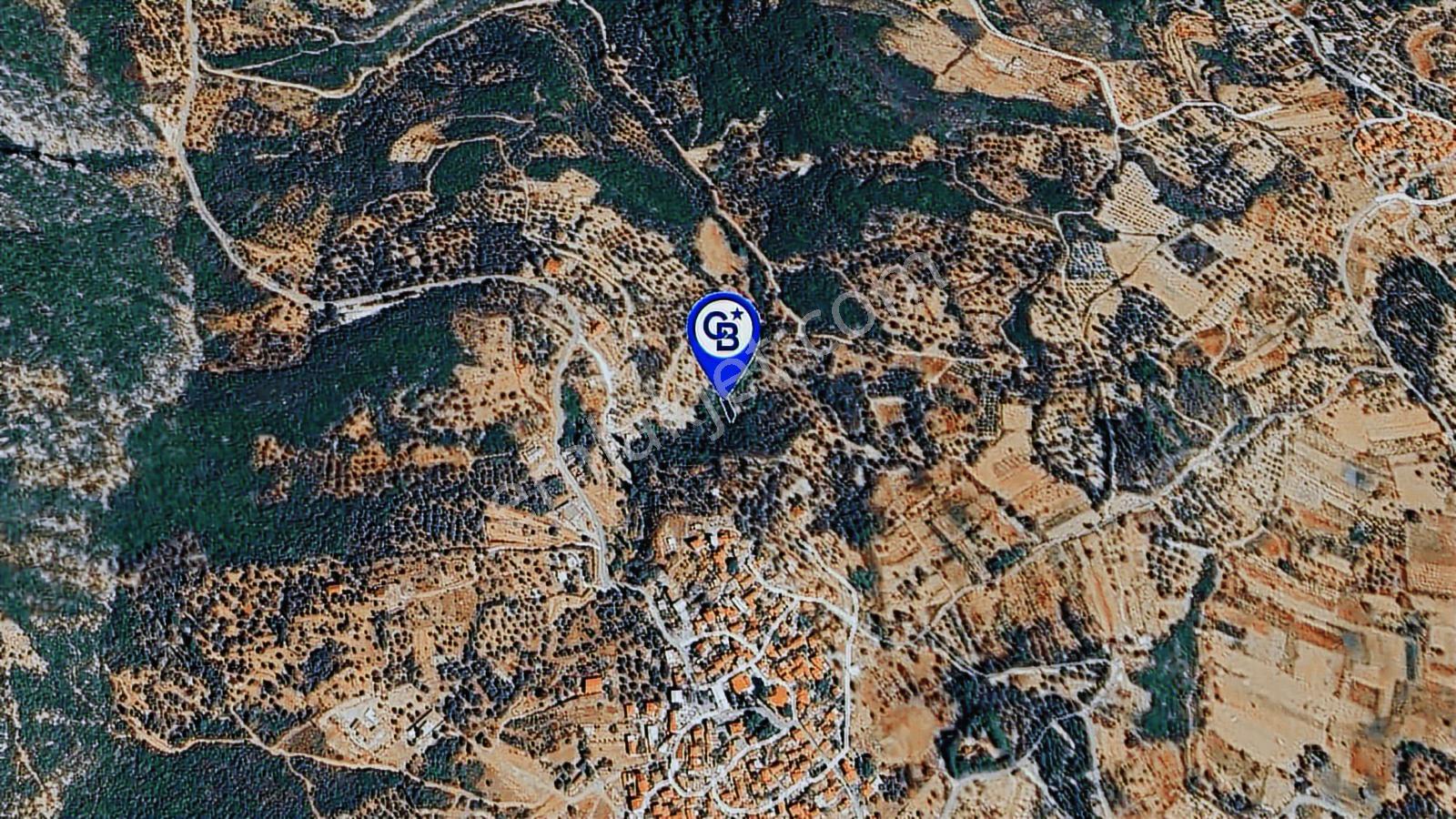 Karaburun Kösedere'de Müstakil Tapulu Bahçe - Görsel 31