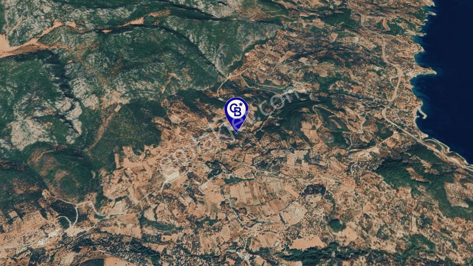 Karaburun Kösedere'de Müstakil Tapulu Bahçe - Görsel 8