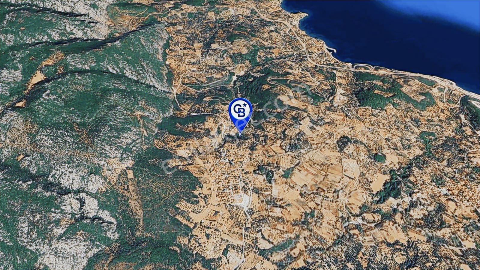Karaburun Kösedere'de Müstakil Tapulu Bahçe - Görsel 7