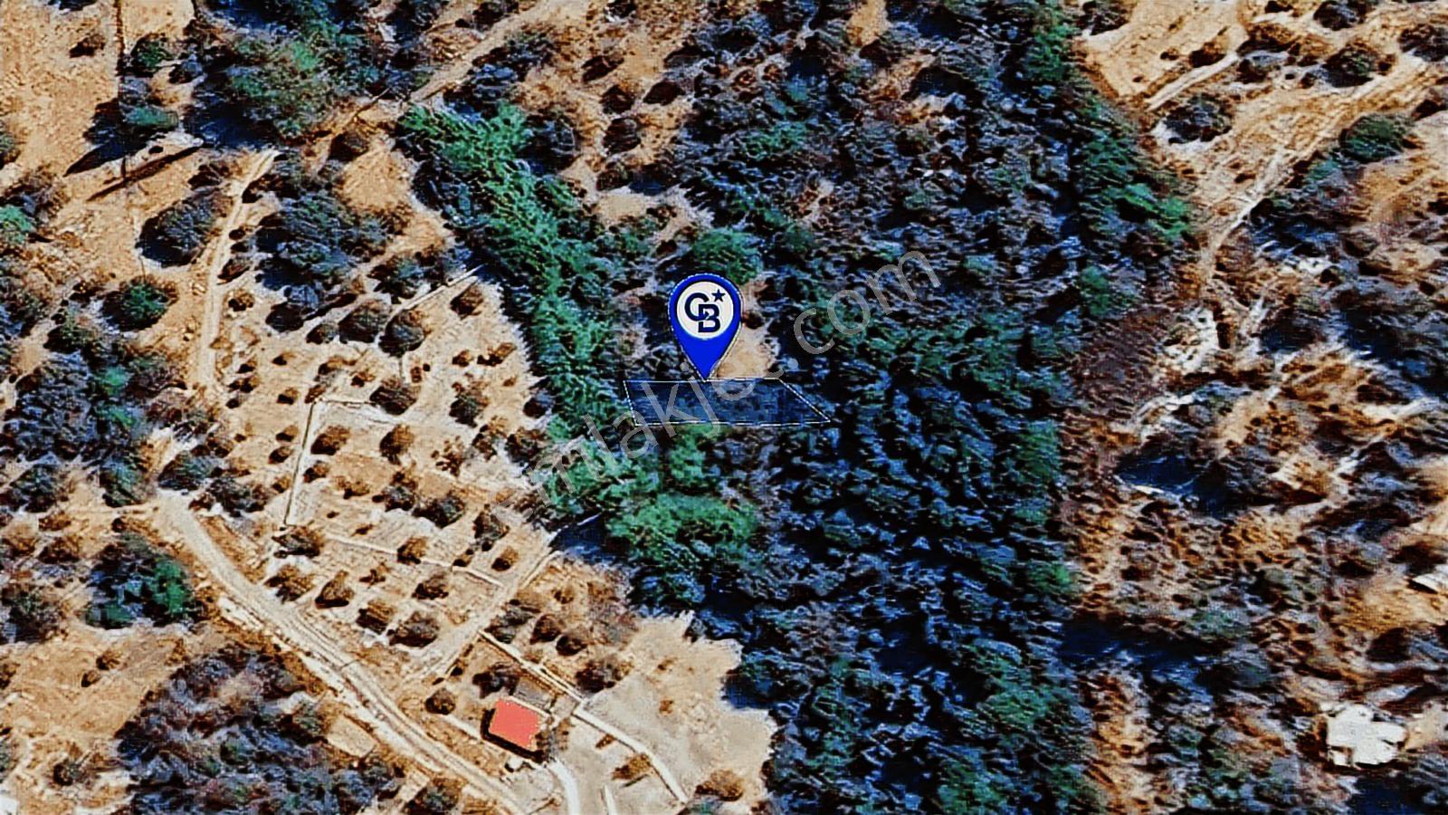 Karaburun Kösedere'de Müstakil Tapulu Bahçe - Görsel 22