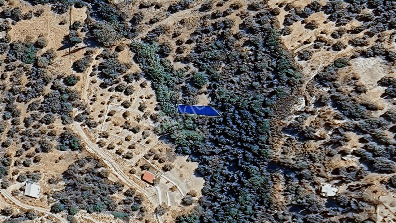Karaburun Kösedere'de Müstakil Tapulu Bahçe - Görsel 34