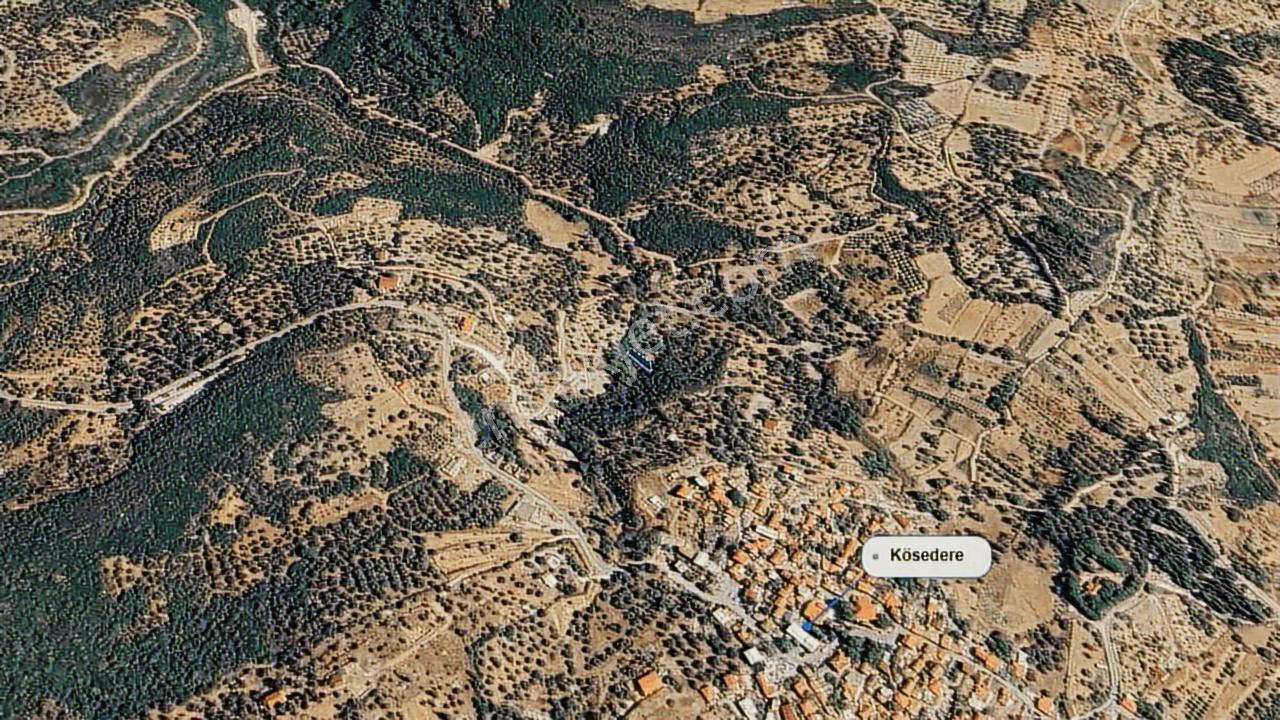 Karaburun Kösedere'de Müstakil Tapulu Bahçe - Görsel 23