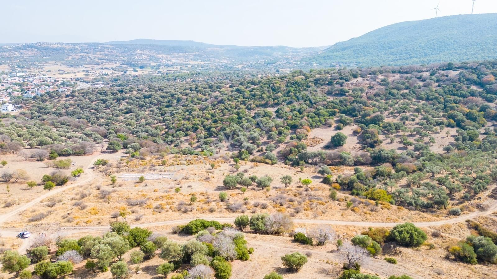 Yenifoça Cumhuriyet Mah. Satılık Arsa - Görsel 27