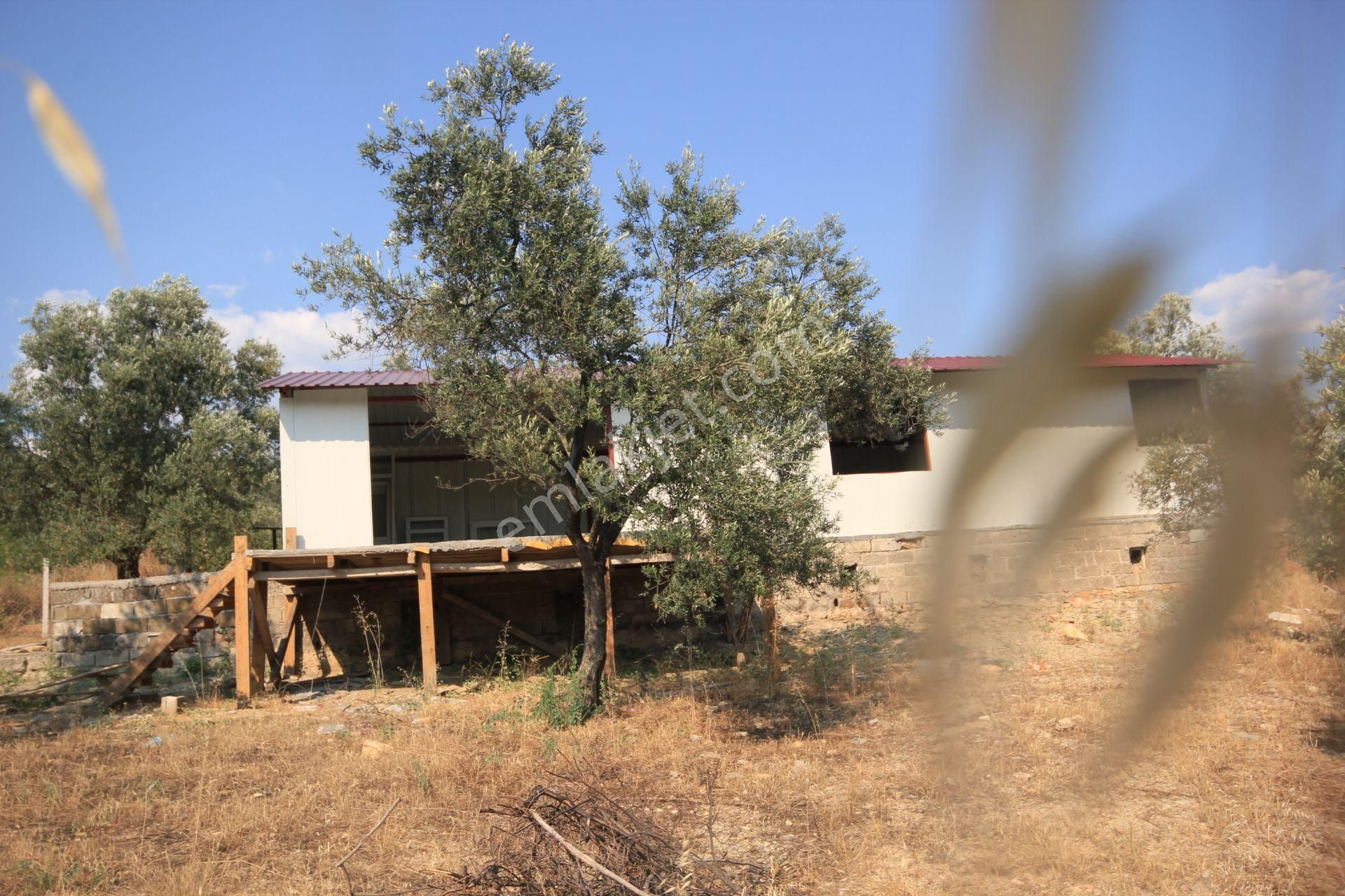 🔴 Aktif'ten Burhaniye Şarköy'de İçerisinde Yapı Bulunan Satılık 3 Dönüm Zeytinlik - Görsel 27