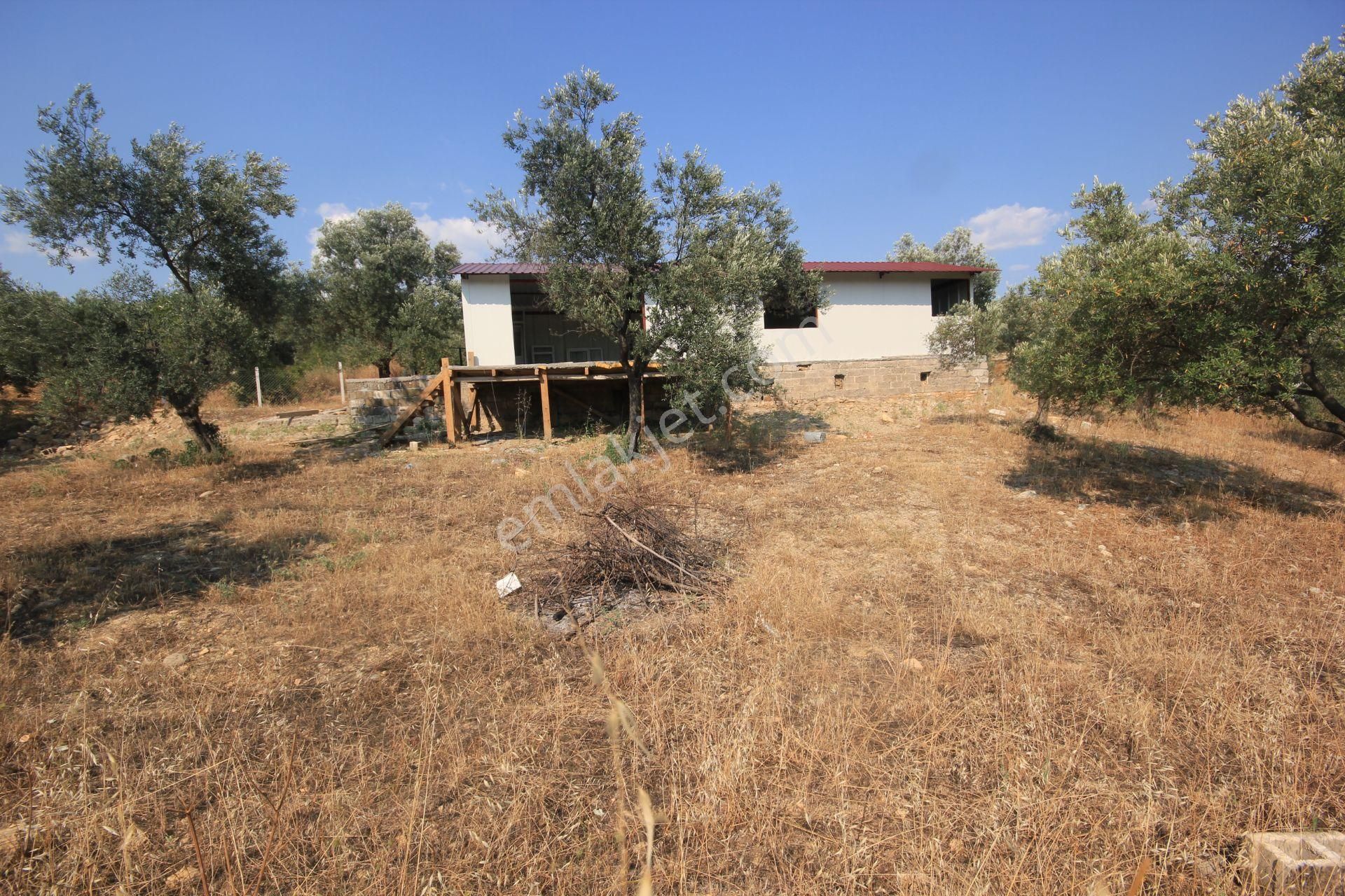 🔴 Aktif'ten Burhaniye Şarköy'de İçerisinde Yapı Bulunan Satılık 3 Dönüm Zeytinlik - Görsel 25