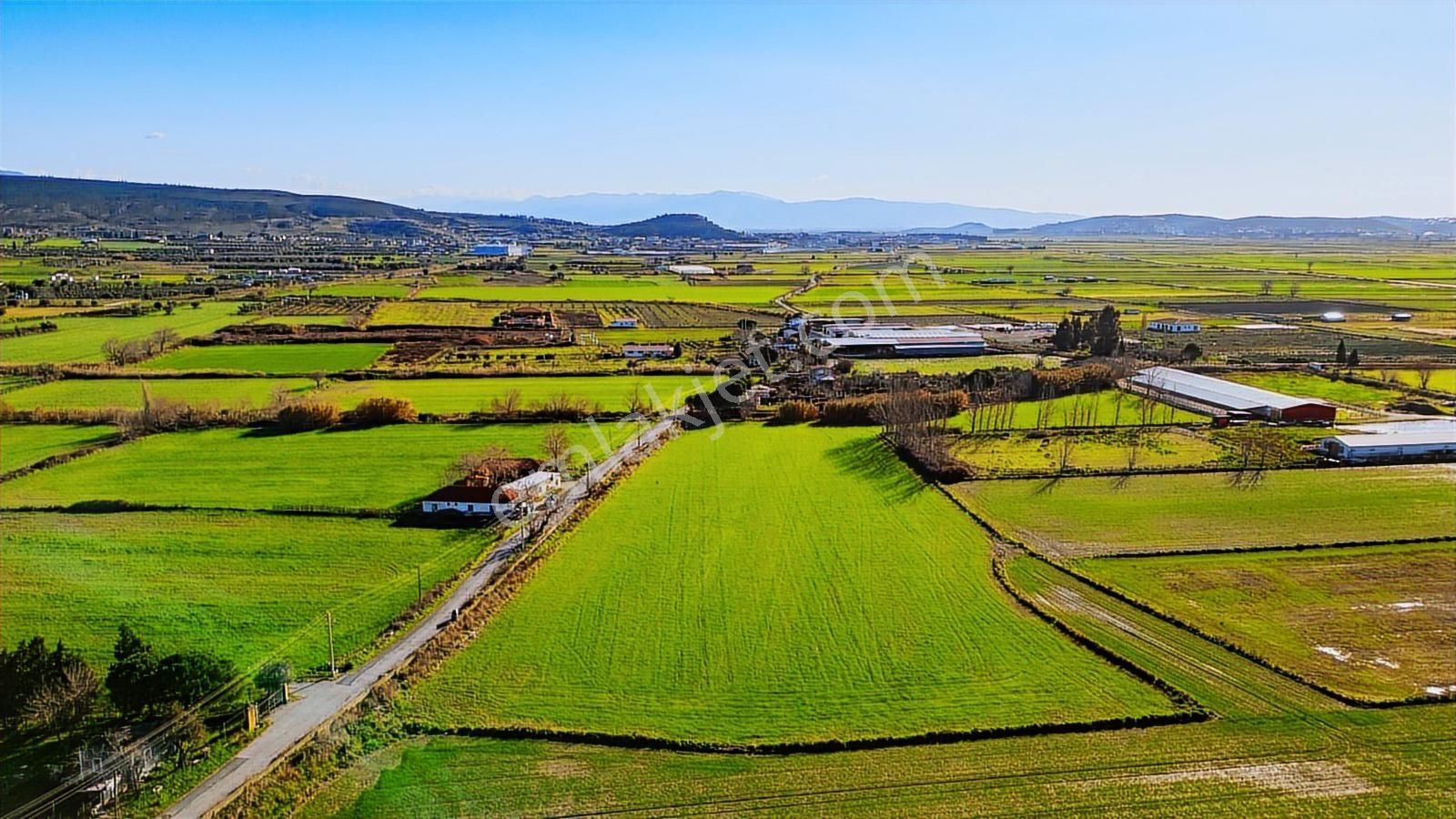 Foça Hacıveli Mah. Satılık Tarla - Görsel 31