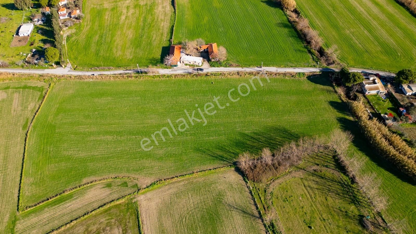 Foça Hacıveli Mah. Satılık Tarla - Görsel 12