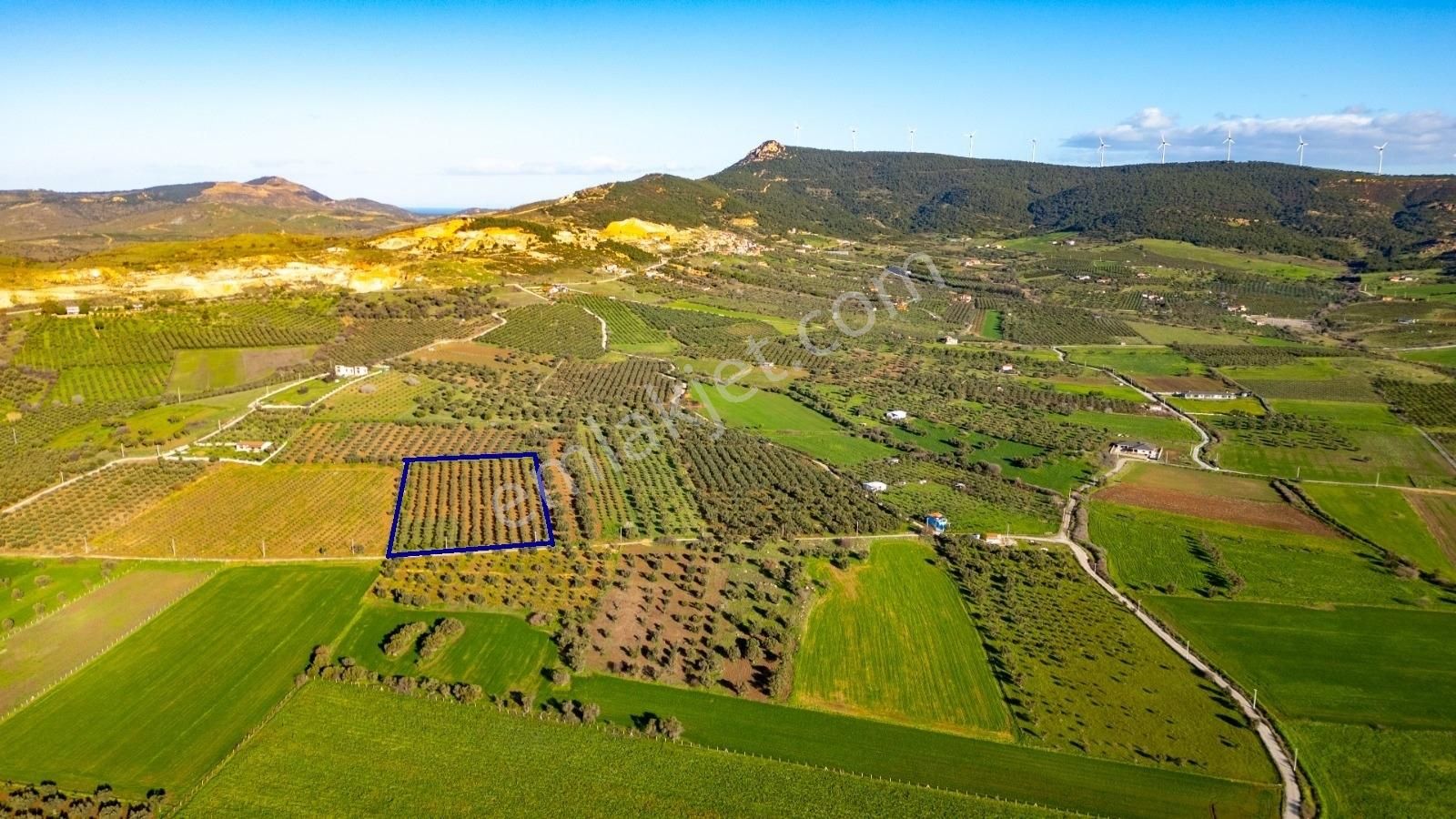 Foça Kocamehmetler'de Satılık Tarla - Görsel 18