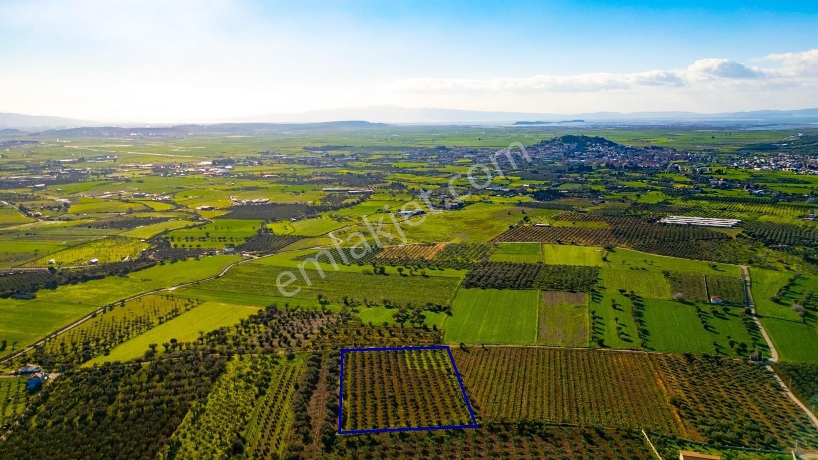 Foça Kocamehmetler'de Satılık Tarla - Görsel 15