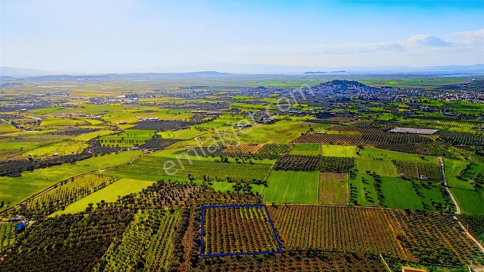 Foça Kocamehmetler'de Satılık Tarla - Görsel 12