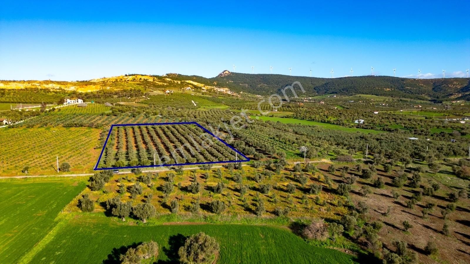 Foça Kocamehmetler'de Satılık Tarla - Görsel 9