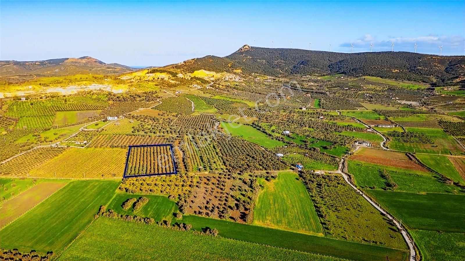 Foça Kocamehmetler'de Satılık Tarla - Görsel 27