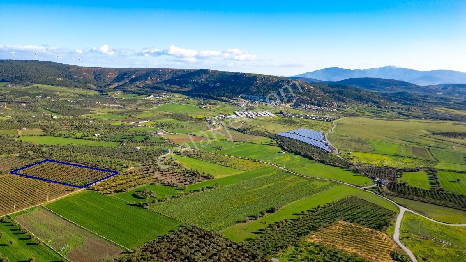 Foça Kocamehmetler'de Satılık Tarla - Görsel 16