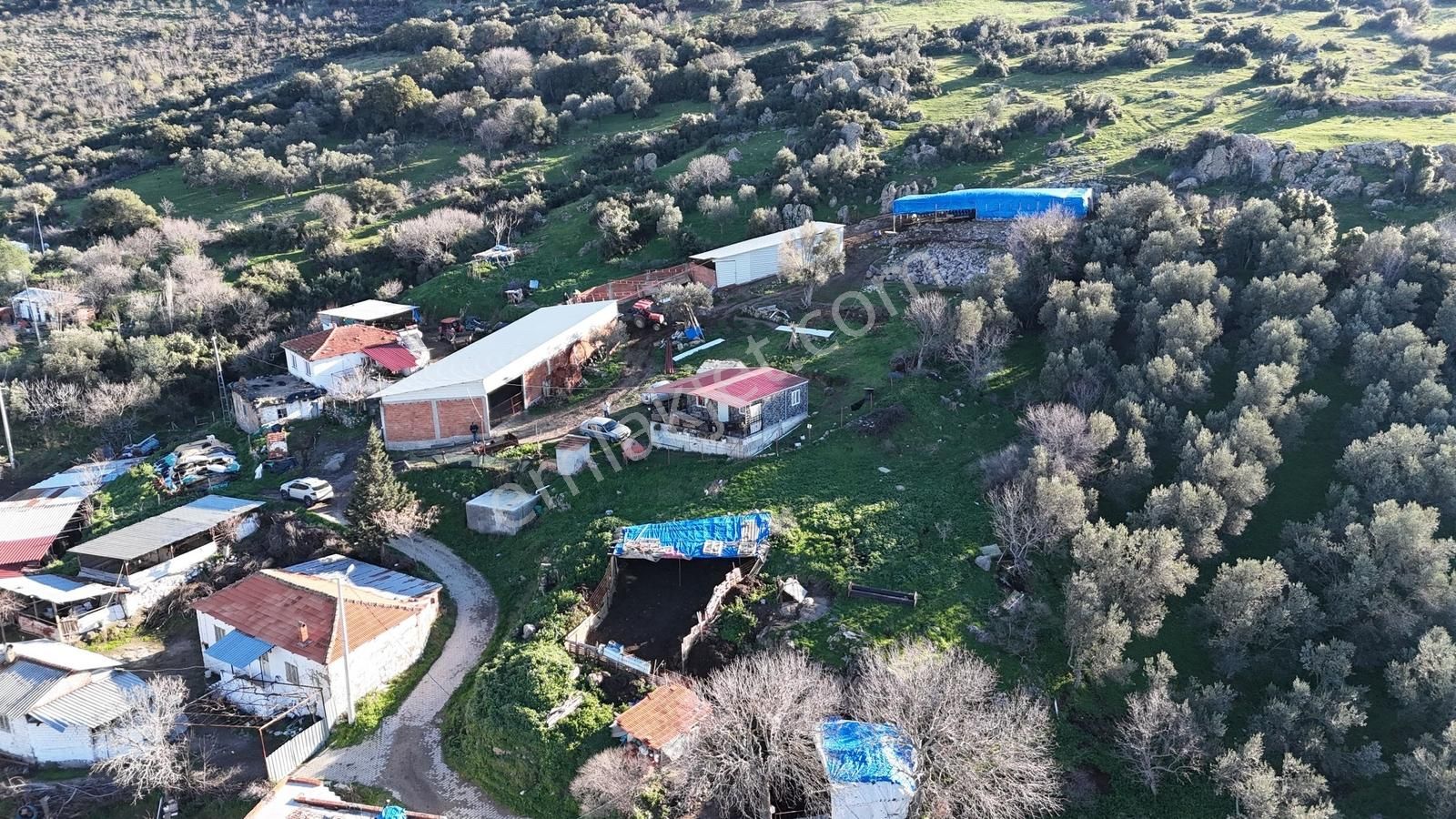 Bergama Sindel'de Satılık Tarla - Görsel 20