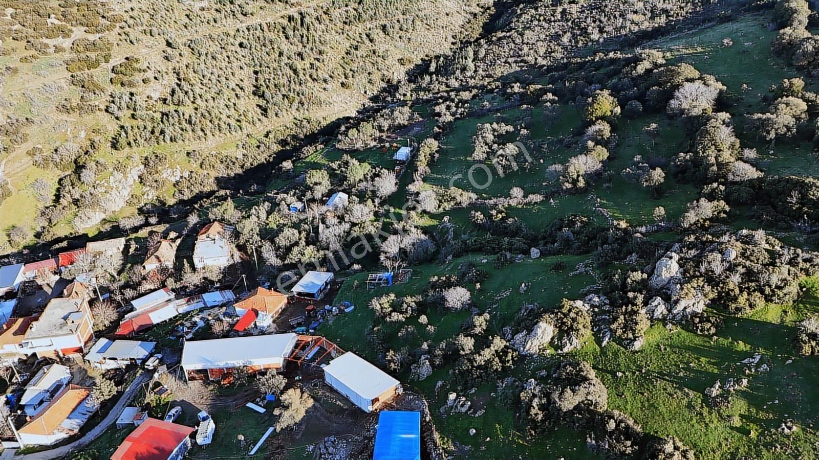 Bergama Sindel'de Satılık Tarla - Görsel 31