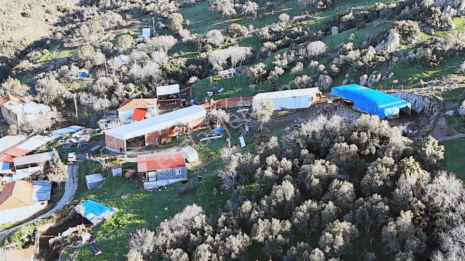 Bergama Sindel'de Satılık Tarla - Görsel 9
