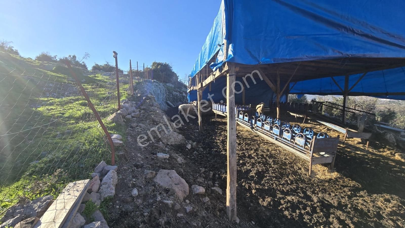 Bergama Sindel'de Satılık Tarla - Görsel 18