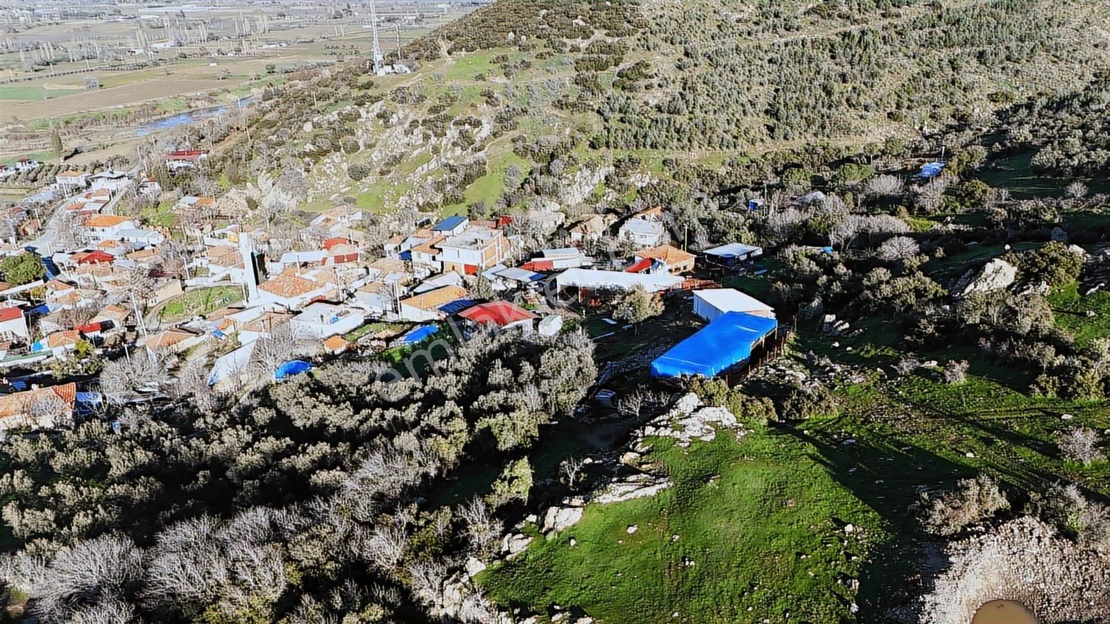 Bergama Sindel'de Satılık Tarla - Görsel 6