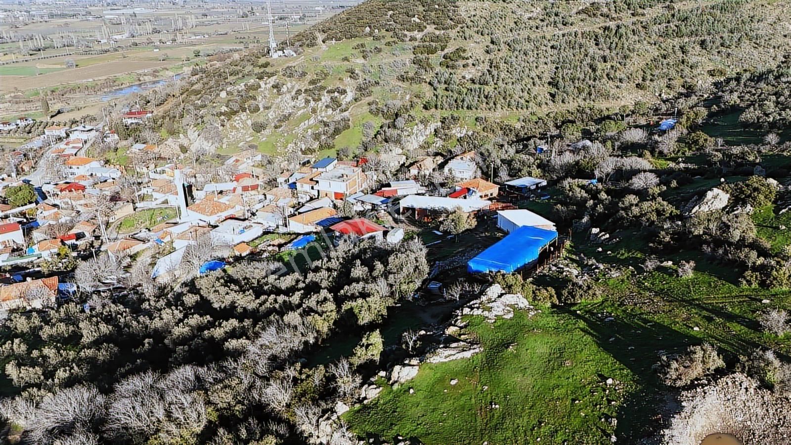 Bergama Sindel'de Satılık Tarla - Görsel 12