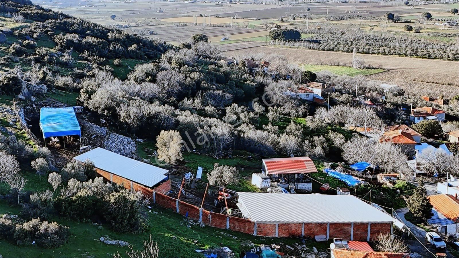 Bergama Sindel'de Satılık Tarla - Görsel 24