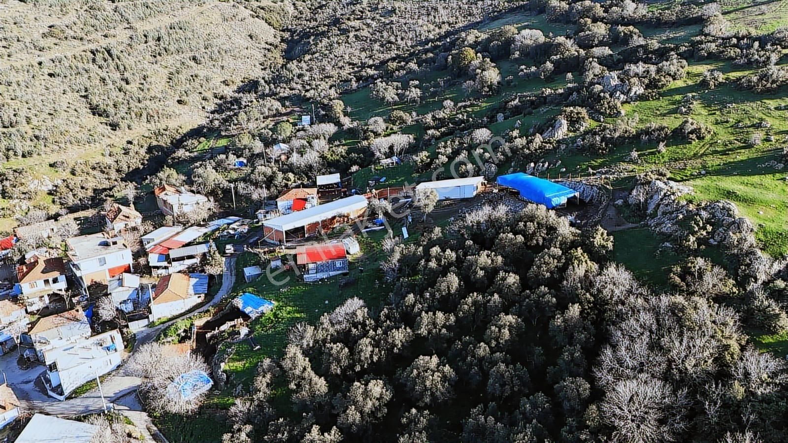 Bergama Sindel'de Satılık Tarla - Görsel 19