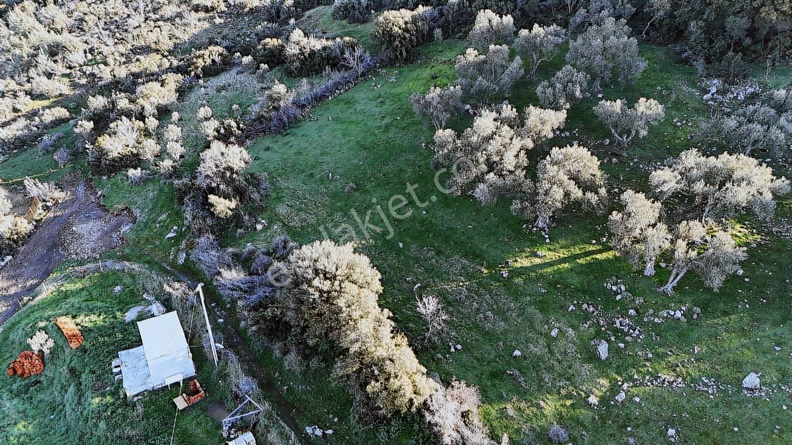 Bergama Sindel'de Satılık Tarla - Görsel 10