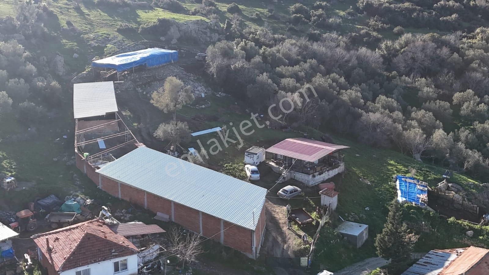 Bergama Sindel'de Satılık Tarla - Görsel 27