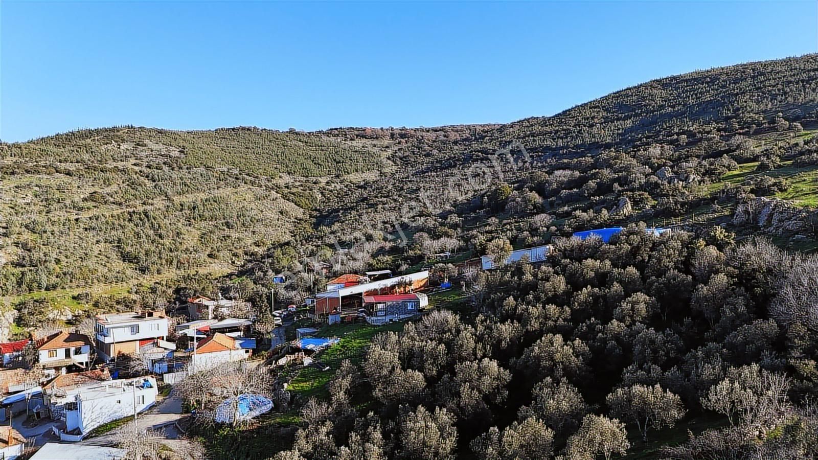 Bergama Sindel'de Satılık Tarla - Görsel 11