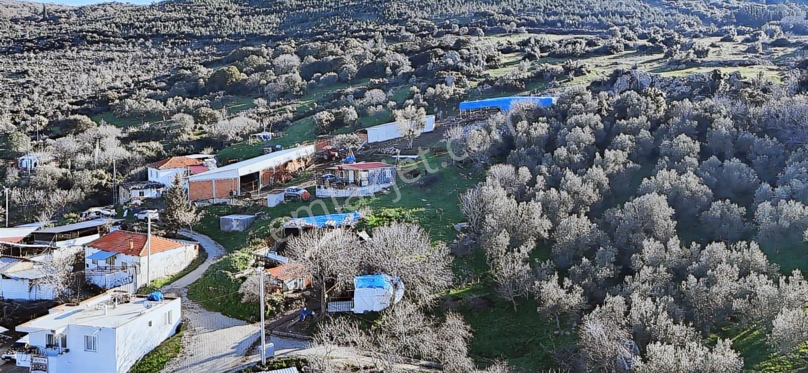 Bergama Sindel'de Satılık Tarla