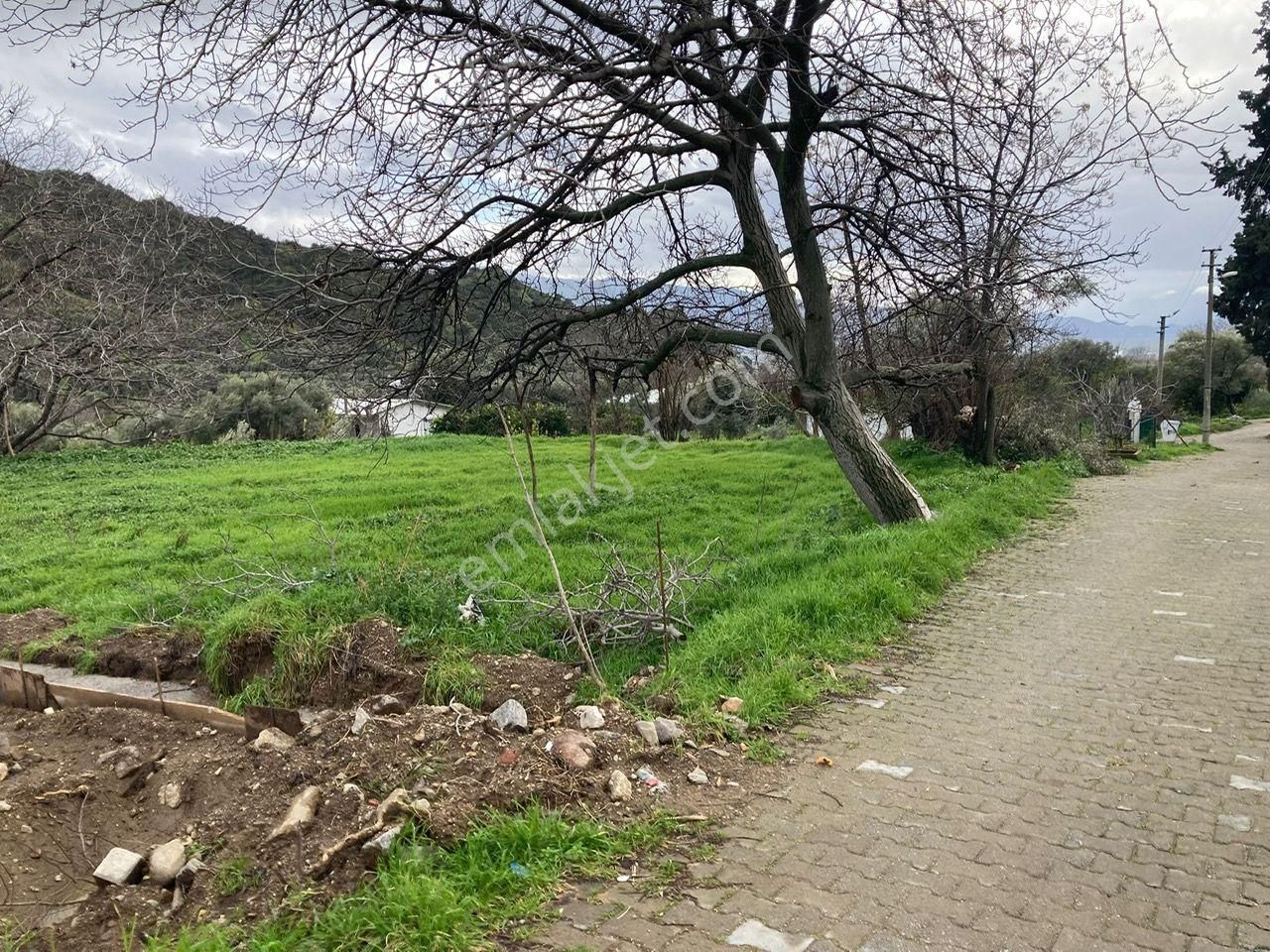 Nazilli Yakını Kestel Mah Köyiçi İmarlı Arsa Ve Bahçe 1200 M2 - Görsel 3