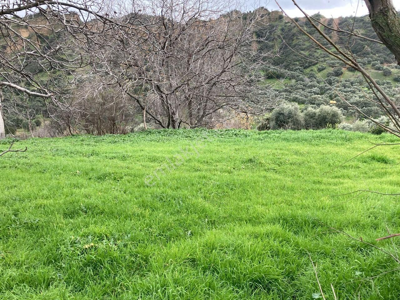 Nazilli Yakını Kestel Mah Köyiçi İmarlı Arsa Ve Bahçe 1200 M2 - Görsel 4