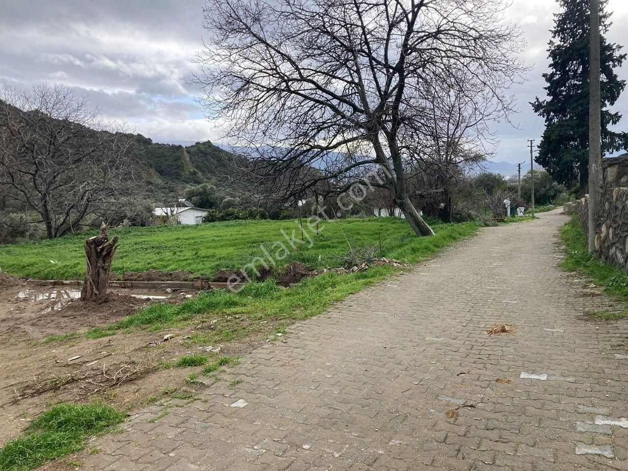 Nazilli Yakını Kestel Mah Köyiçi İmarlı Arsa Ve Bahçe 1200 M2 - Görsel 8