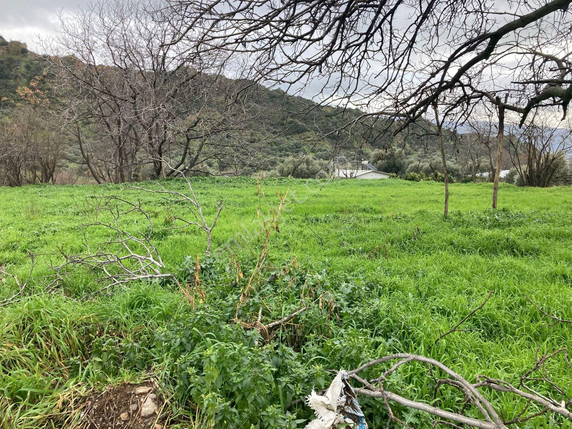 Nazilli Yakını Kestel Mah Köyiçi İmarlı Arsa Ve Bahçe 1200 M2 - Görsel 5