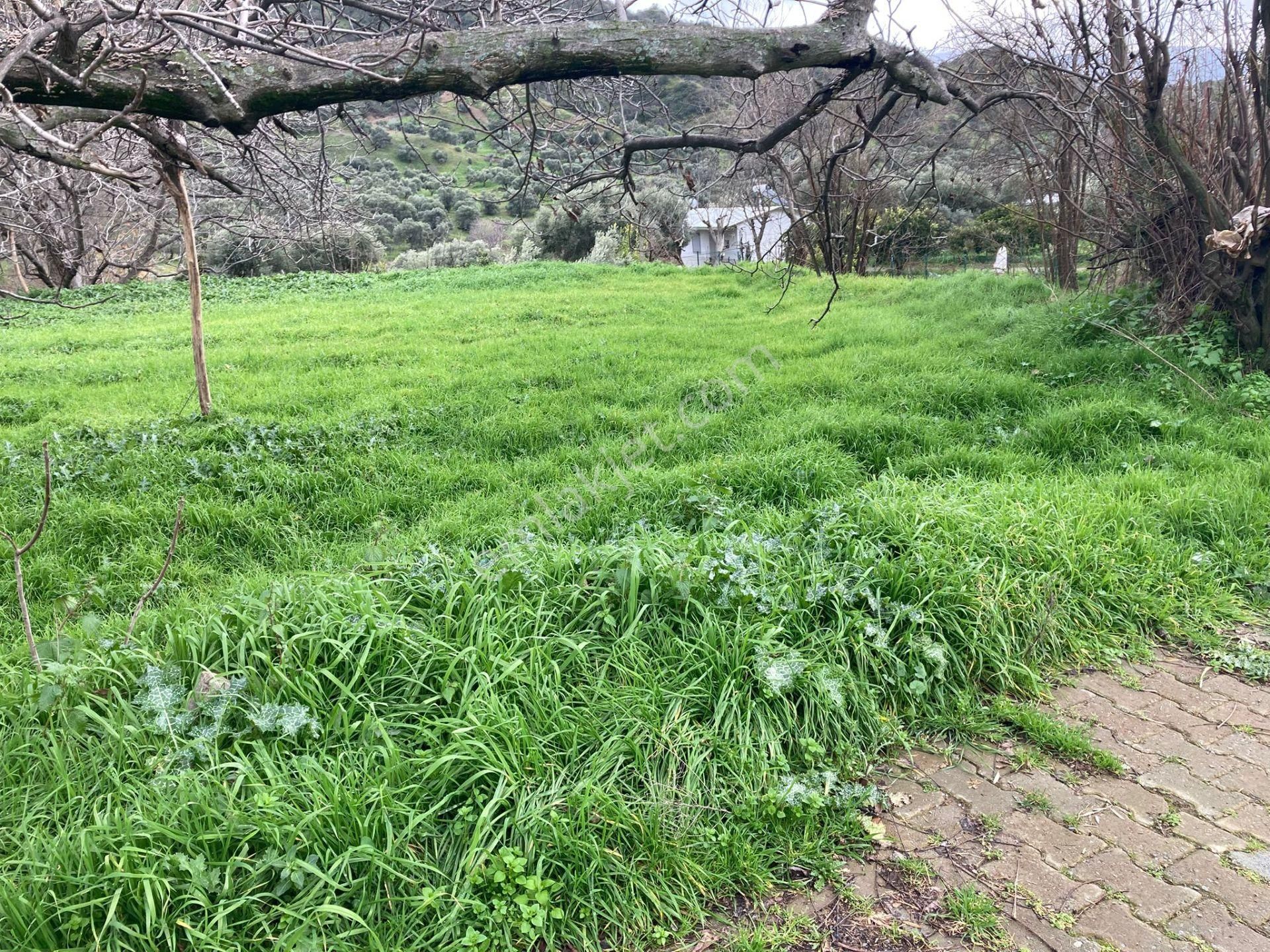 Nazilli Yakını Kestel Mah Köyiçi İmarlı Arsa Ve Bahçe 1200 M2 - Görsel 9