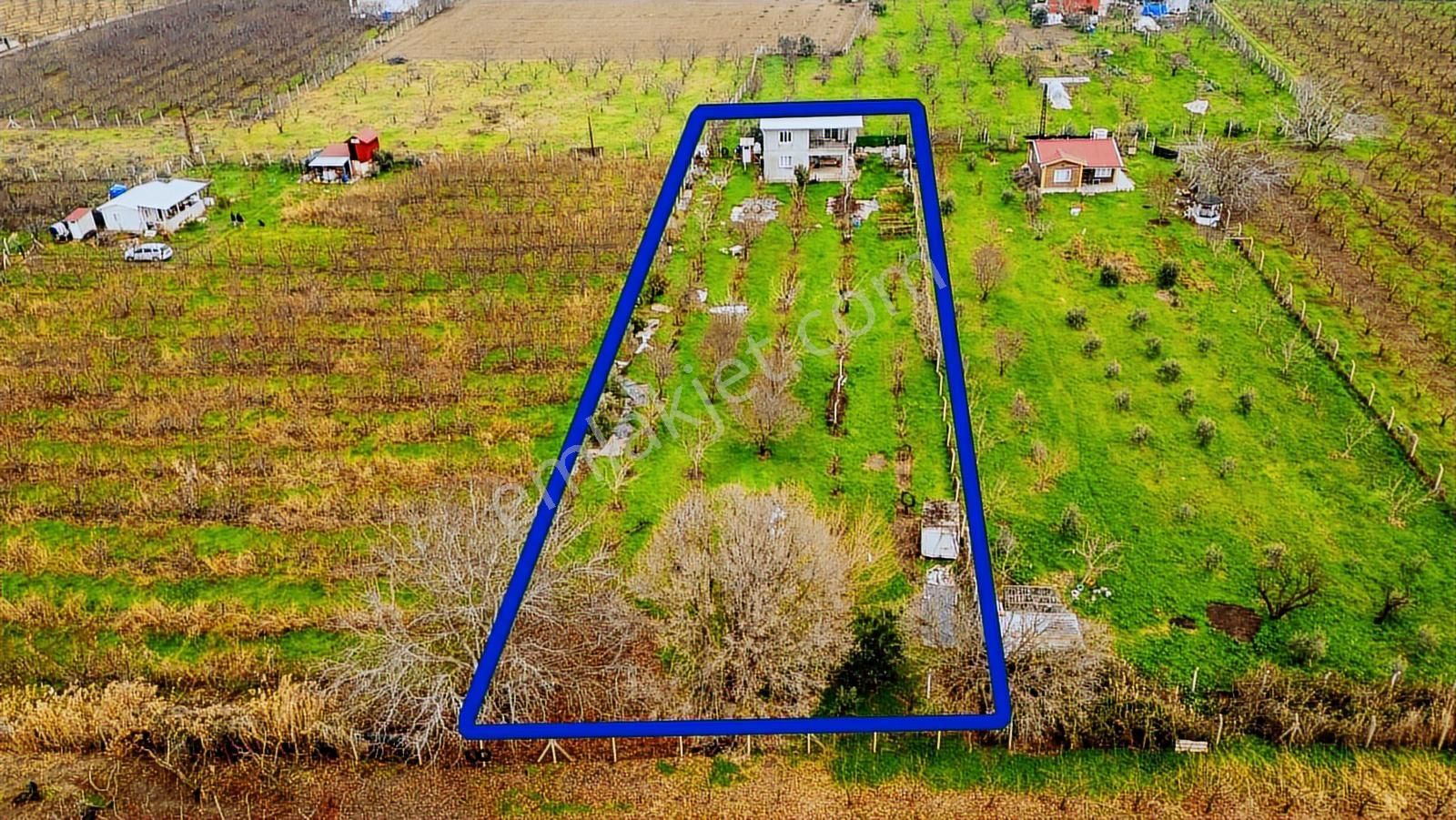 Kemalpaşa Ören'de Satılık Müstakil Tarla - Görsel 29