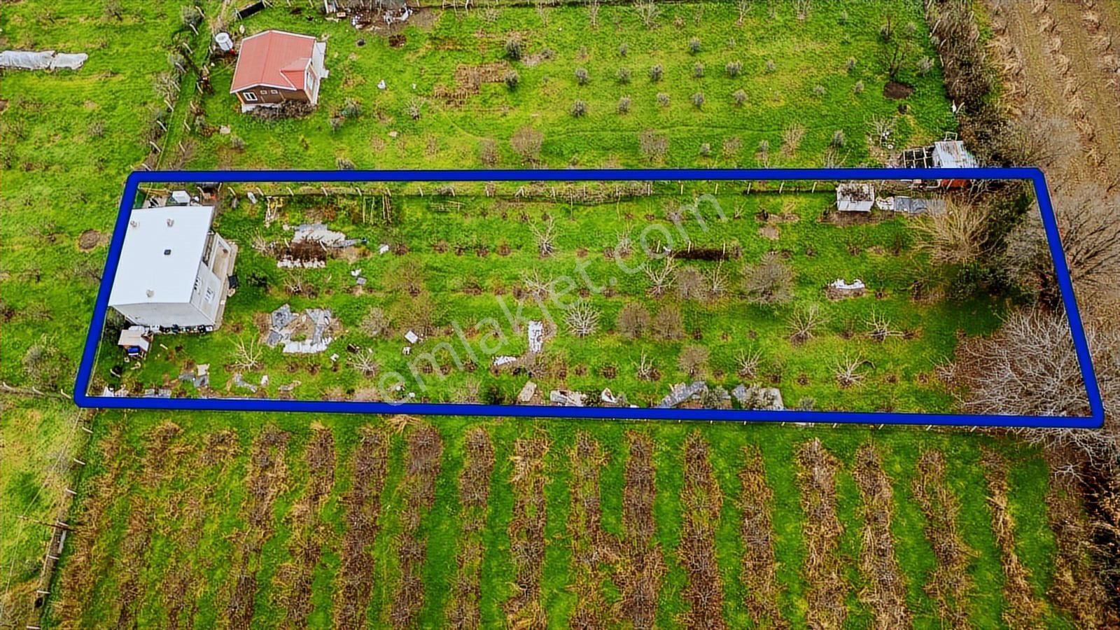 Kemalpaşa Ören'de Satılık Müstakil Tarla - Görsel 21