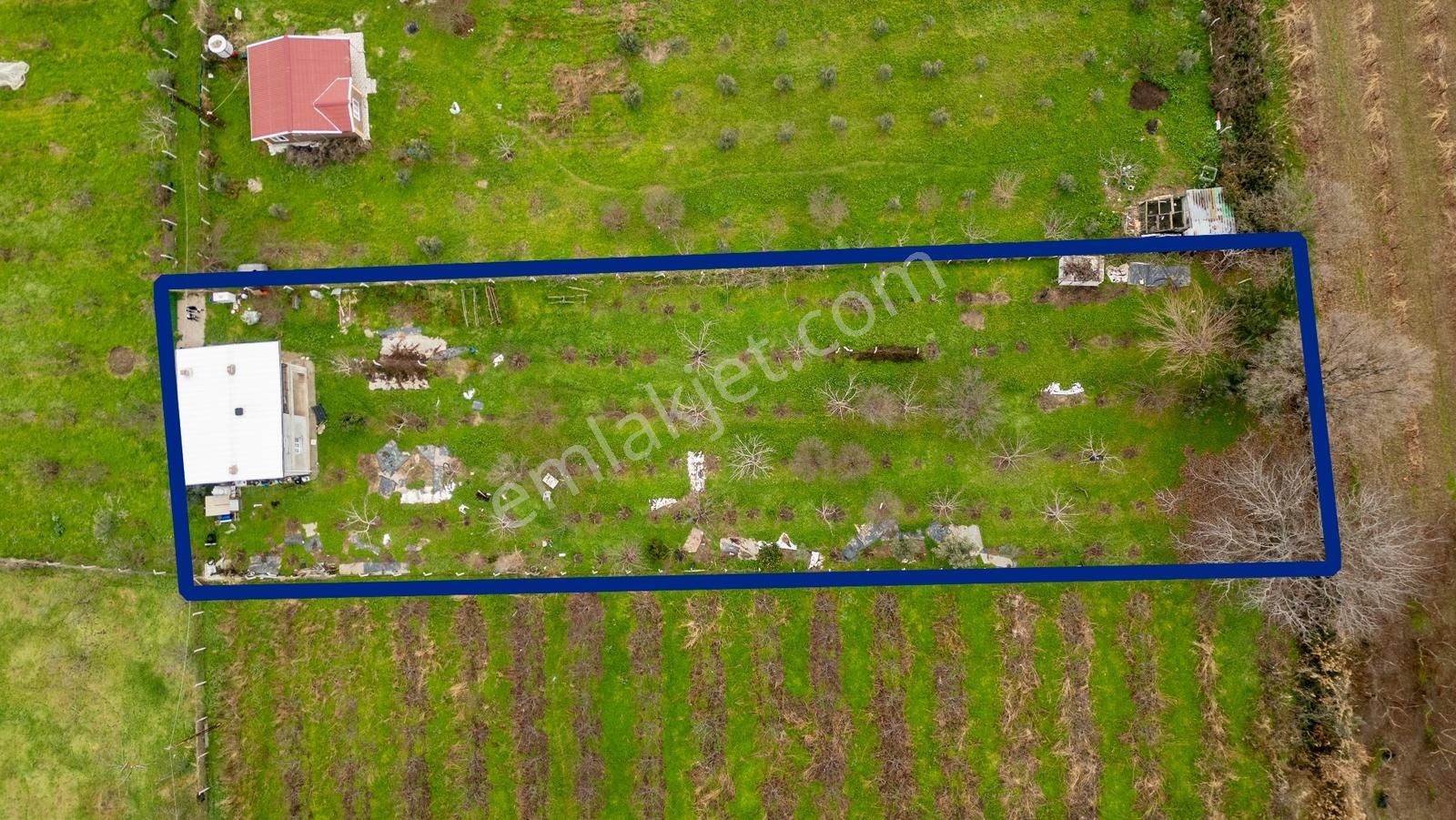 Kemalpaşa Ören'de Satılık Müstakil Tarla - Görsel 4