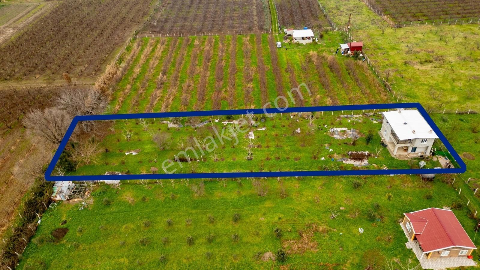 Kemalpaşa Ören'de Satılık Müstakil Tarla - Görsel 5