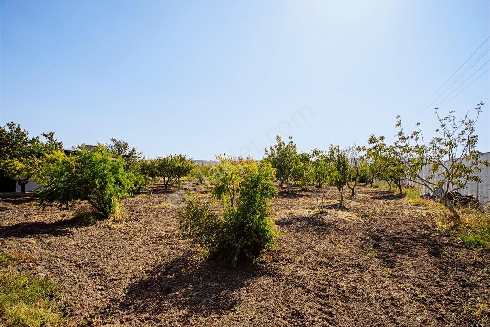 Helvacı Foça-izmir Karayolu Üzeri Satılık Tarla Ve Bağ Evi - Görsel 32