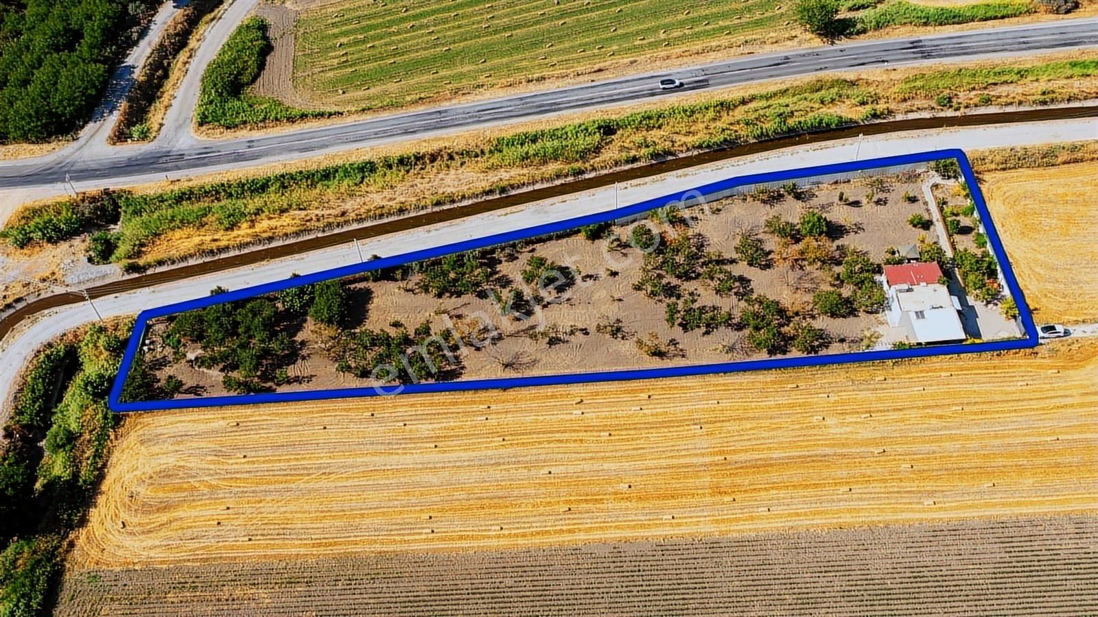 Helvacı Foça-izmir Karayolu Üzeri Satılık Tarla Ve Bağ Evi - Görsel 21