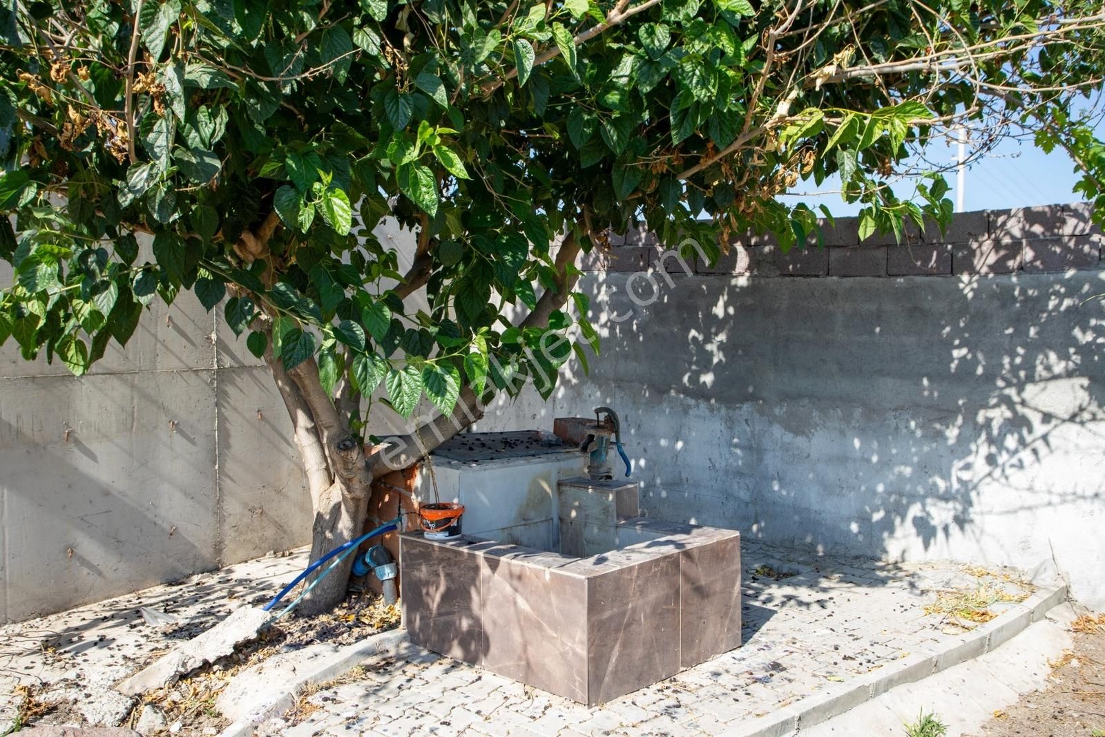 Helvacı Foça-izmir Karayolu Üzeri Satılık Tarla Ve Bağ Evi - Görsel 10