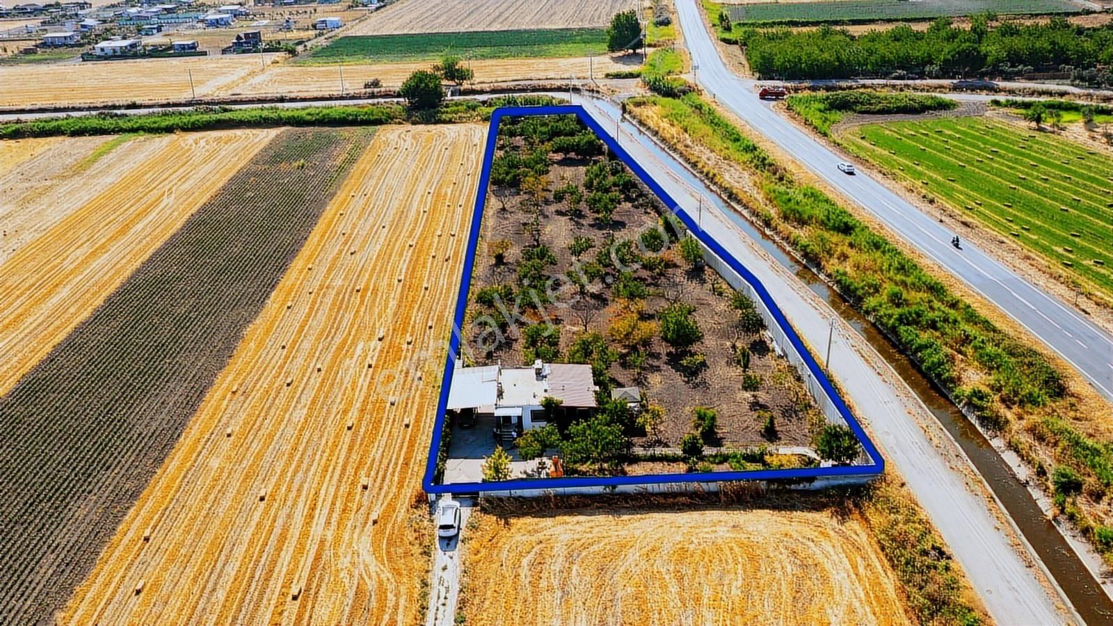 Helvacı Foça-izmir Karayolu Üzeri Satılık Tarla Ve Bağ Evi - Görsel 12