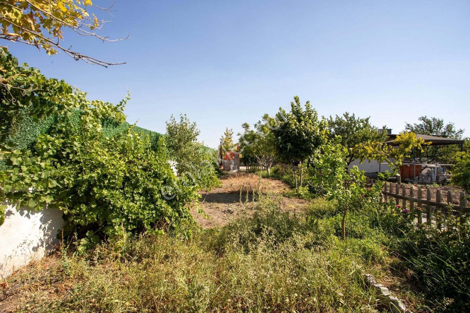 Helvacı Foça-izmir Karayolu Üzeri Satılık Tarla Ve Bağ Evi - Görsel 16