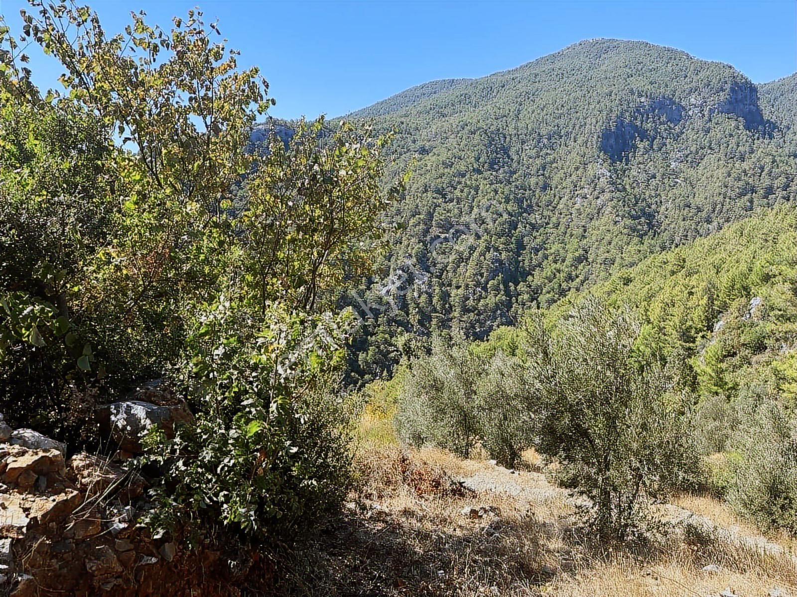 Satılık 1.000 M2 Deniz Ve Doğa Manzaralı Fırsat Tarla - Görsel 28