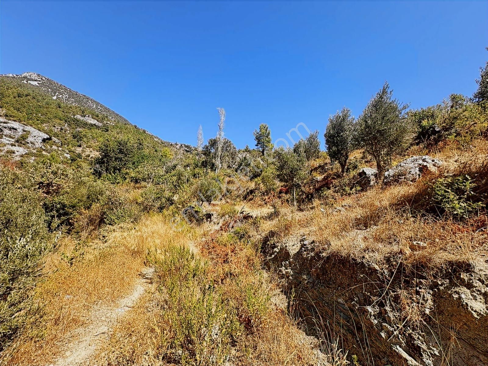 Satılık 1.000 M2 Deniz Ve Doğa Manzaralı Fırsat Tarla - Görsel 33