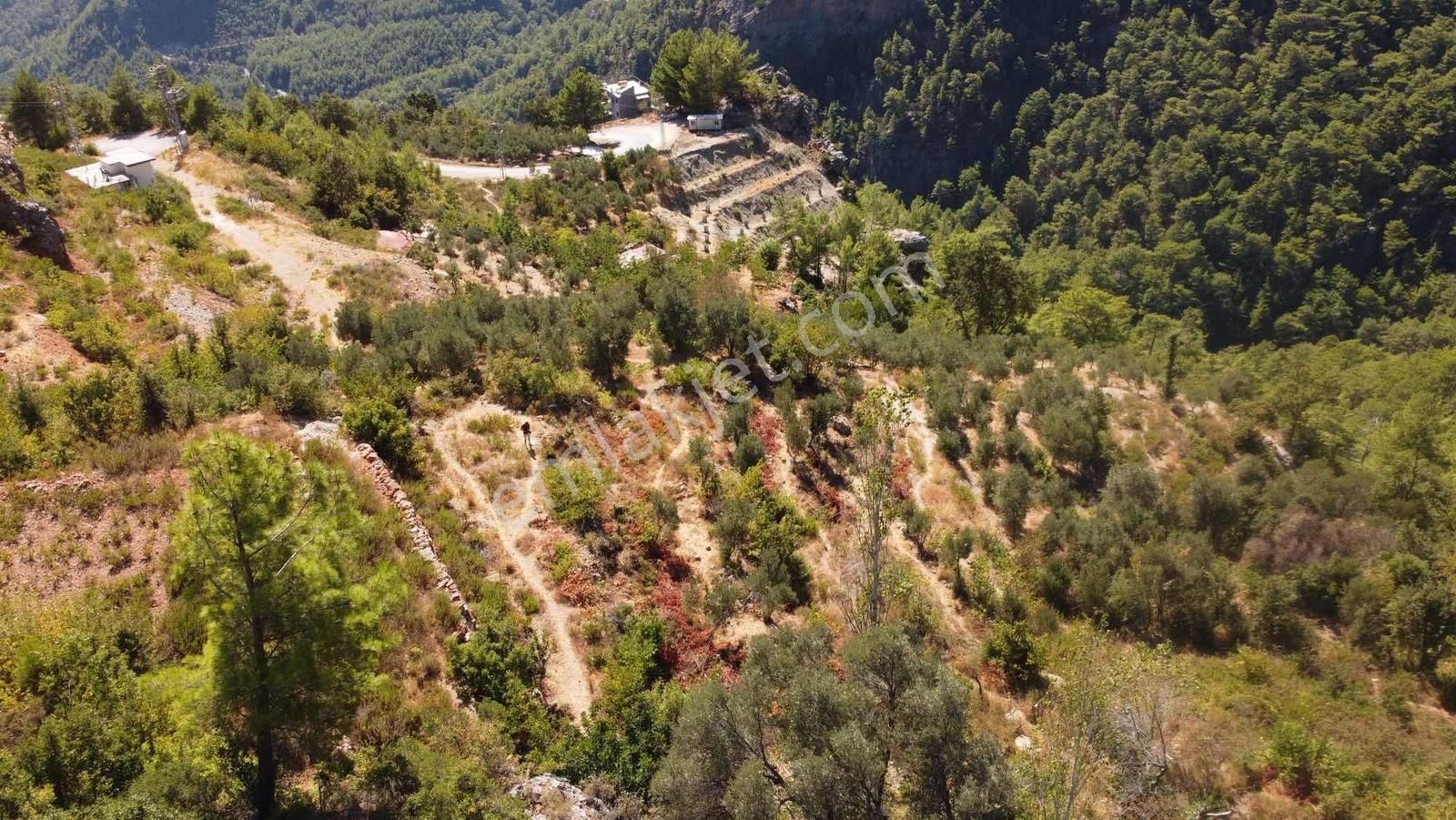 Satılık 1.000 M2 Deniz Ve Doğa Manzaralı Fırsat Tarla - Görsel 13