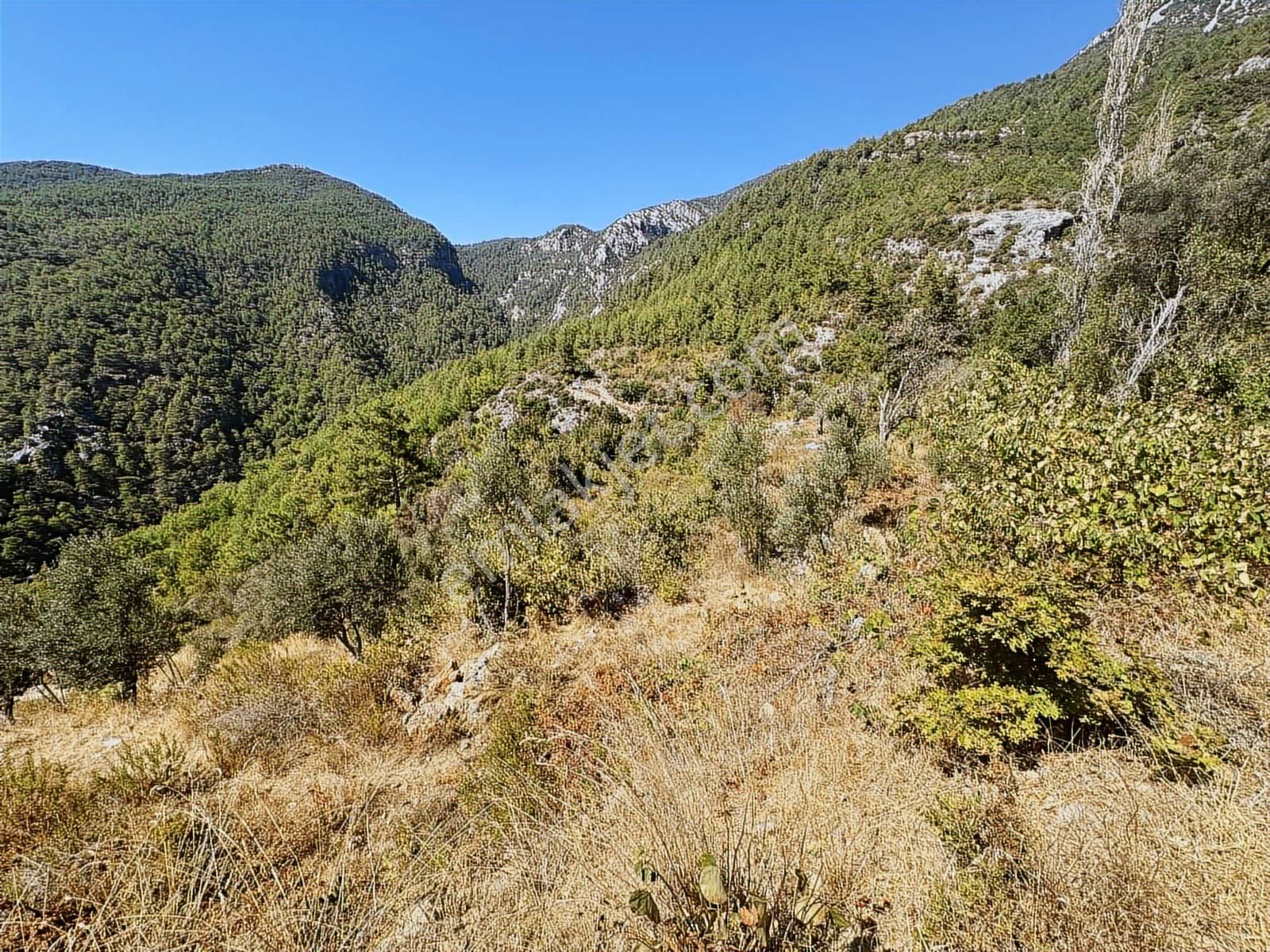 Satılık 1.000 M2 Deniz Ve Doğa Manzaralı Fırsat Tarla - Görsel 16