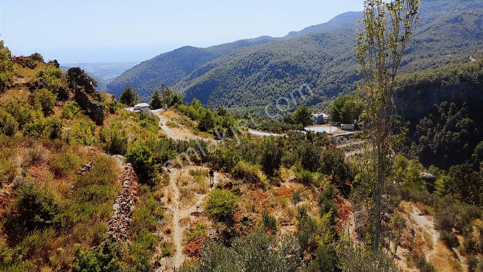 Satılık 1.000 M2 Deniz Ve Doğa Manzaralı Fırsat Tarla - Görsel 3